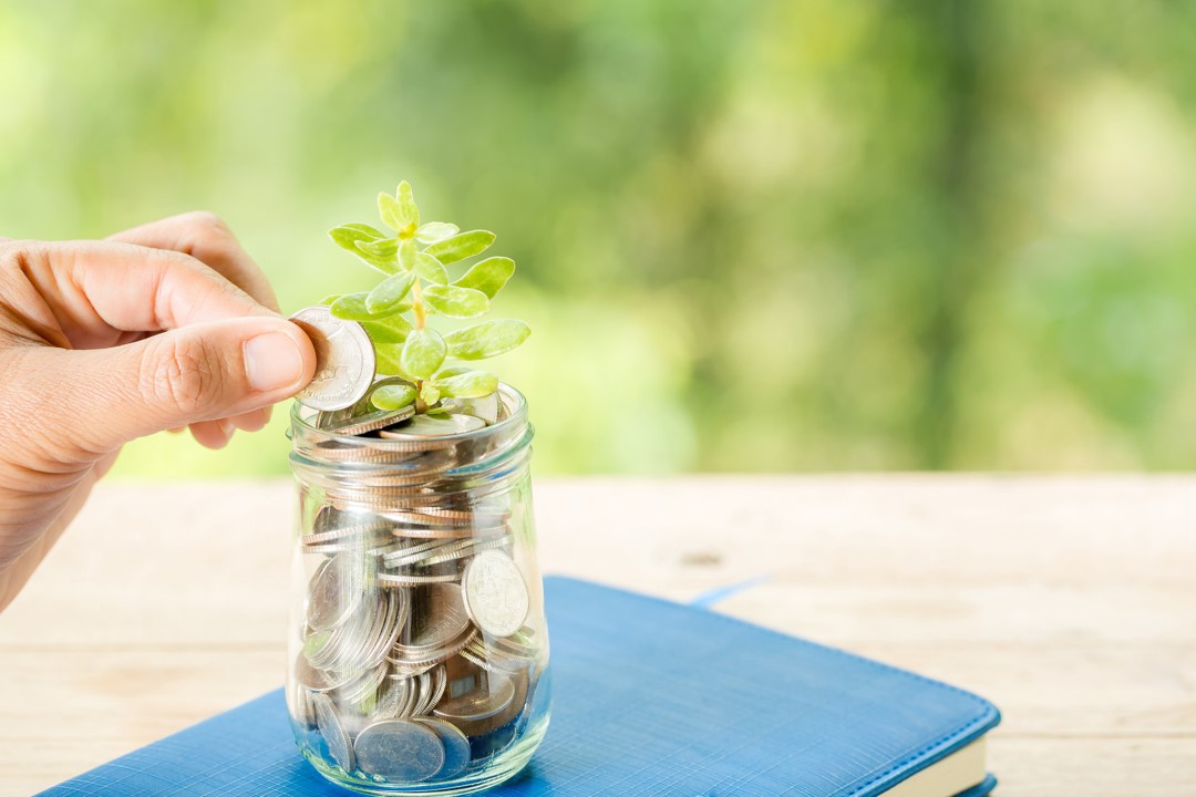Coins being added to jam jar with plant growing out